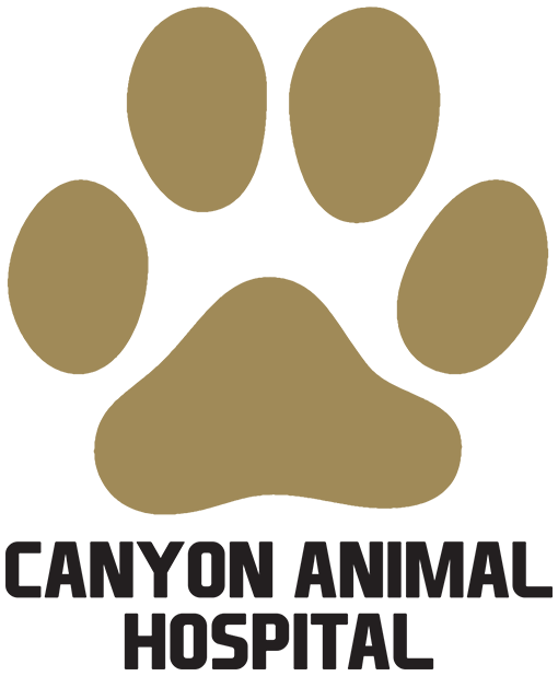 Canyon Animal Hospital logo